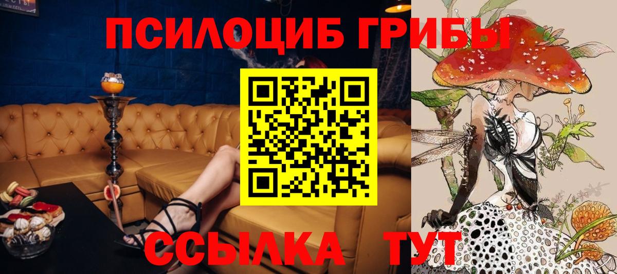 Псилоцибиновые грибы Cubensis  Вход с VPN  наркошоп  Волгодонск 